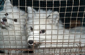 VIER PFOTEN - Stiftung für Tierschutz: La Journée mondiale des animaux est placée sous le signe d'une «planète commune»