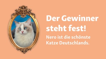 Fressnapf Holding SE: Weltkatzentag: Fressnapf hat die schönste Katze Deutschlands gefunden!