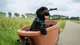 Marken-Relaunch &amp; Modellstart: Dolly Joy rollt los - das neue Cargobike für Familien mit Rückenwind