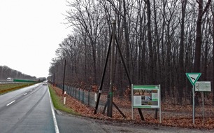 Deutsche Bundesstiftung Umwelt (DBU): DBU-Naturerbefläche Elmpt: Bundesforst entnimmt Bäume entlang der Straßen – stufiger Waldrand geplant