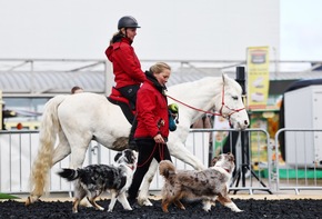 25. Reiten-Jagen-Fischen und 5. FORST&sup3; mit &uuml;ber 26.000 Messeg&auml;sten