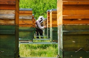 MyHONEY BIO-Imkerei: Honig fällt bei Öko-Test durch: Prämierter Imker erklärt, woran man guten, natürlichen Honig erkennen kann