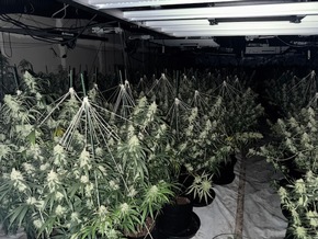 POL-GÖ: (135/2025) Zwei weitere Indoor-Plantagen im Altkreis Osterode entdeckt - Über 2.000 Pflanzen und umfangreiche Anbautechnik beschlagnahmt, 56-Jähriger festgenommen, Ermittlungskommission eingerichtet