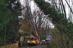 Feuerwehr Heiligenhaus: FW-Heiligenhaus: Bäume fielen nach Sturm am Wochenende (Meldung 6/2019)