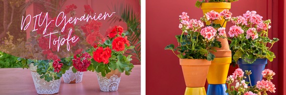 Pelargonium for Europe: Mit Liebe selbst gemacht: Fünf fantastische Ideen für DIY-Geranien-Töpfe