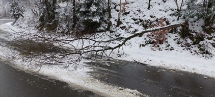 Freiwillige Feuerwehr Breckerfeld: FW-EN: Fahrbahn durch Baum blockiert