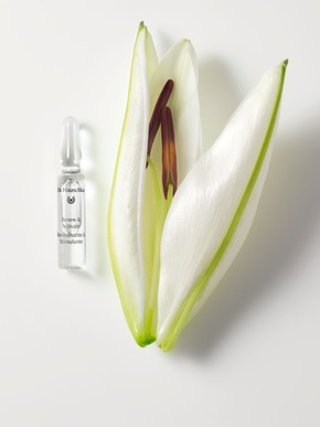 Neustart f&uuml;r die Haut: Die Dr. Hauschka Ampullenkuren unterst&uuml;tzen die n&auml;chtliche Regeneration der Haut und pr&auml;sentieren sich mit neuem Design, optimierter Anwendung und reduzierter Verpackung.