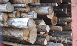 Robin Wood e.V.: Umweltorganisationen entsetzt über LEAGs Holzpellet-Strategie