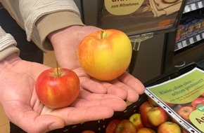 tegut... gute Lebensmittel GmbH & Co. KG: Presseinformation: Schöne Aktion für mehr Nachhaltigkeit - tegut… verschenkt rund acht Tonnen „Kinderäpfel“