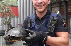 Polizeidirektion Landau: POL-PDLD: Tierisch auf Abwegen!