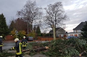 Freiwillige Feuerwehr Breckerfeld: FW-EN: Baum auf Straße