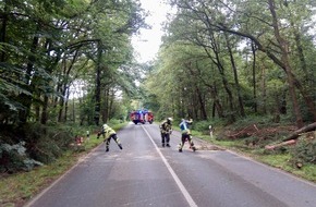 Freiwillige Feuerwehr Hünxe: FW Hünxe: Baumkrone beschädigt