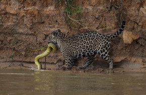 National Geographic Channel: Natur versus Tierwelt: National Geographic zeigt mit "Feindselige Erde - Anpassen oder sterben" die Fragilität des Lebens