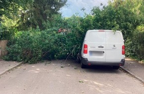 Feuerwehr München: FW-M: Umgestürzter Baum erfordert schweres Gerät (Lochhausen)