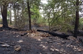 Feuerwehr Essen: FW-E: Feuer im unwegsamen Unterholz auf über 30.000m²
