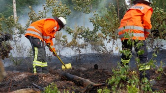 Freiwillige Feuerwehr Celle: FW Celle: Brandausbreitung in Hochwald verhindert - Feuerwehr Flugdienst im Einsatz