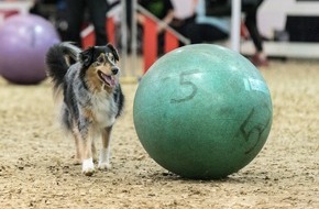 DOGLIVE: DOGLIVE 2024: Restart der beliebten Hundemesse in Münster mit Gala, Filmtier-Casting und Ninja Dogs Parcours