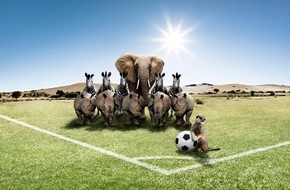 Tchibo GmbH: Mit Tchibo zur FIFA Fußball-Weltmeisterschaft 2010 TM / Vielversprechend: Gruppe D wie Deutschland (mit Bild)