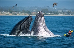 Visit Santa Cruz County: Kalifornien-Roadtrip für die ganze Familie: Santa Cruz in 48 Stunden erkunden