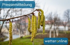 WetterOnline Meteorologische Dienstleistungen GmbH: Das Pollenjahr 2019 startet