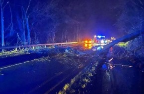 Kreispolizeibehörde Wesel: POL-WES: Xanten - Fahrender Pkw von Ast getroffen - Fahrer verletzt