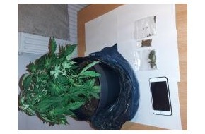 Bundespolizeiinspektion Flensburg: BPOL-FL: Elmshorn - Duft einer Marihuanapflanze im Rucksack ruft Bundespolizei auf den Plan