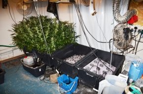 Polizeiinspektion Hameln-Pyrmont/Holzminden: POL-HM: Erneut Indoorplantage bei Durchsuchung entdeckt