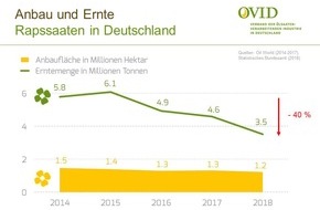 OVID, Verband der ölsaatenverarbeitenden Industrie in Deutschland e.V.: Alarmierender Trend: Deutscher Rapsertrag in den letzten fünf Jahren nahezu halbiert