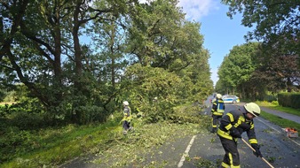 Feuerwehr Stadt Geestland: FW Geestland: Baum st&uuml;rzt auf Fahrzeug | Feuerwehr beseitigt Hindernis auf der L135