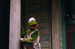 TELE 5: Jason Segel im TELE 5-Interview: "Tom Hanks ist wie Kermit der Frosch" (mit Bild)