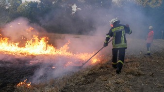 Freiwillige Feuerwehr Celle: FW Celle: Vegetationsbrandbekämpfung unter realistischen Bedingungen geschult!