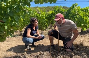 WDR Westdeutscher Rundfunk: Das Erste, Montag, 25.09.2023, 22.50 Uhr / Wein in Gefahr ? / Eine „Weltspiegel“-Dokumentation von Friederike Hofmann und Nils Casjens