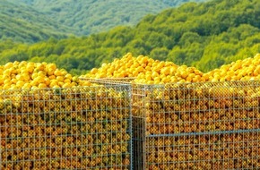Panta Rhei PR AG: Der Appetit kommt beim Reisen: Japan von der fruchtigen Seite entdecken
