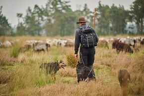 Vergölst fördert 2024 mehr als 50.000m² Natur in der Lüneburger Heide