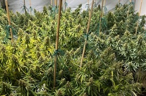 Polizei Bochum: POL-BO: Polizei entdeckt Cannabis-Plantage - Sechs Tatverdächtige in U-Haft