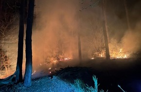 Polizeidirektion Landau: POL-PDLD: Waldbrand