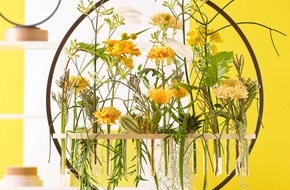 Blumenbüro: Ausgefallen durch den Sommer mit Chrysanthemen / Kreative Werkstücke mit der Vielseitigkeitsblume