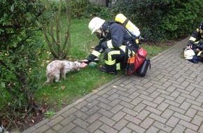 Feuerwehr Düsseldorf: FW-D: Angebranntes Essen: Feuerwehr rettet Hund