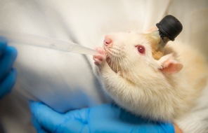 Schweizer Tierschutz STS: Medienmitteilung: Welttierversuchstag - Schweizer Tierschutz STS erneuert Forderung für Verbot schwer belastender Tierversuche