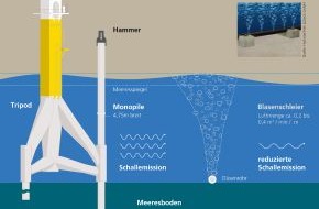 Trianel GmbH: Schallschutz für Meeresbewohner / Vorbereitungen für den Trianel Offshore Windpark laufen an (mit Bild)