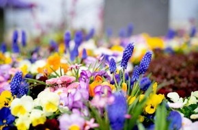 Gesellschaft deutscher Friedhofsgärtner mbH: GdF Brancheninfo März/April