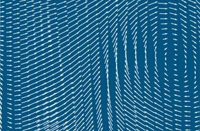 Presse- und Informationszentrum Marine: Begleiten Sie das Einlaufen der Schiffe zur Kieler Woche 2008