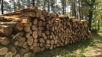 Deutsche S&auml;ge- und Holzindustrie Bundesverband e. V. (DeSH): DeSH fordert Kehrtwende bei heimischer Rohstoffnutzung