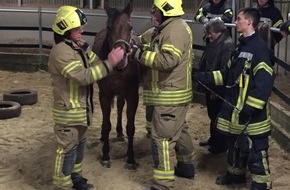 Feuerwehr Haan: FW-HAAN: Pferd aus hilfloser Lage gerettet