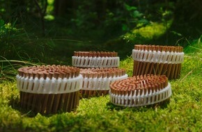 BECK: US-amerikanische IAPMO-Zulassung für LIGNOLOC® Holznägel von BECK