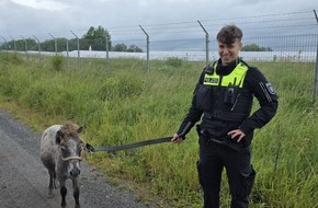 Landespolizeiinspektion Nordhausen: LPI-NDH: Ponystreife