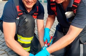Feuerwehr M&uuml;nchen: FW-M: Taube aus auswegloser Zwangslage gerettet (Sendling-Westpark)
