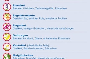 AXA Konzern AG: Gefährlicher Abenteuerspielplatz: Der heimische Garten / Gefahren für Kinder werden häufig unterschätzt (mit Bild)