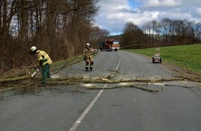 Feuerwehr Herdecke: FW-EN: Katzenrettung und umgefallener Baum am Samstag