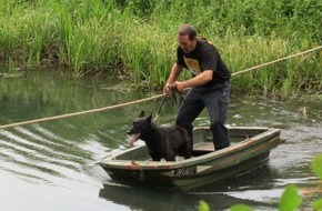 Polizeiinspektion Nienburg / Schaumburg: POL-NI: Polizeihunde und Diensthundführer im Wettstreit